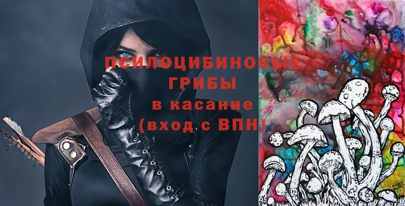 Псилоцибиновые грибы прущие грибы  blacksprut как зайти  Дальнегорск  купить закладку 